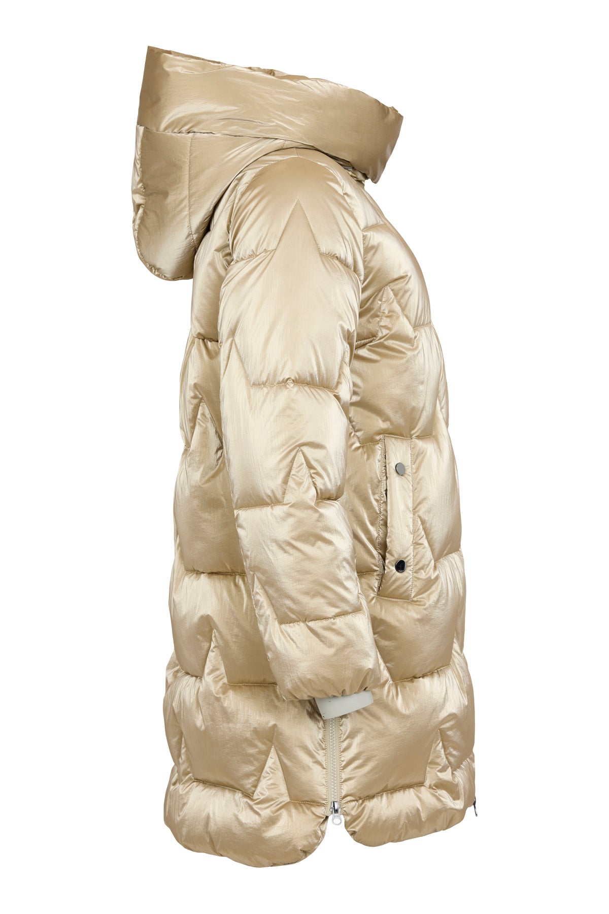 Gold Jacket - 510