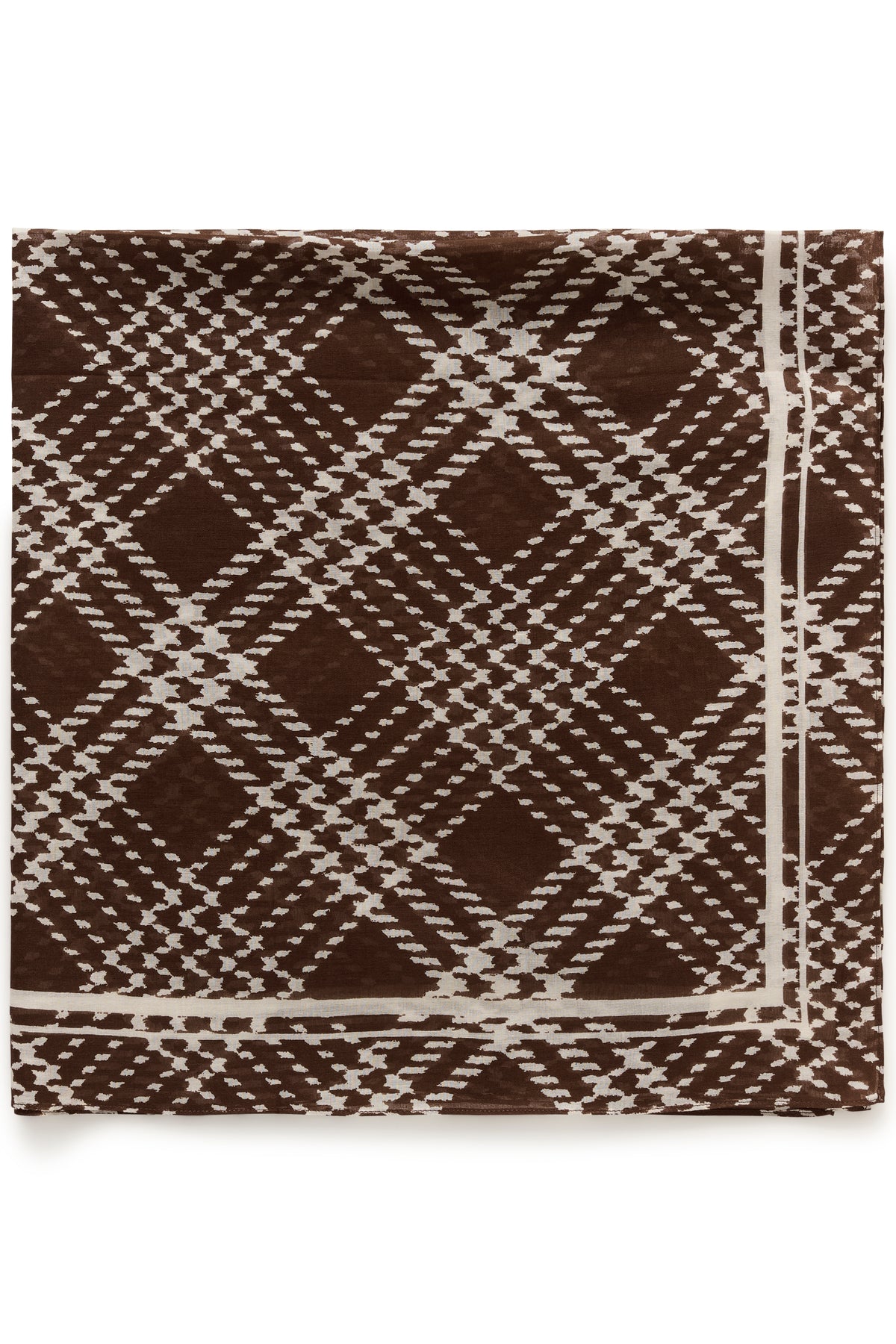 Phil Brown Check Scarf - 30309304