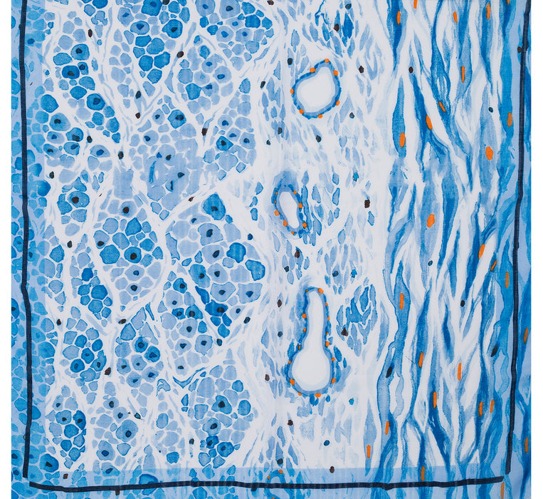 Blue Abstract Scarf - SC1751