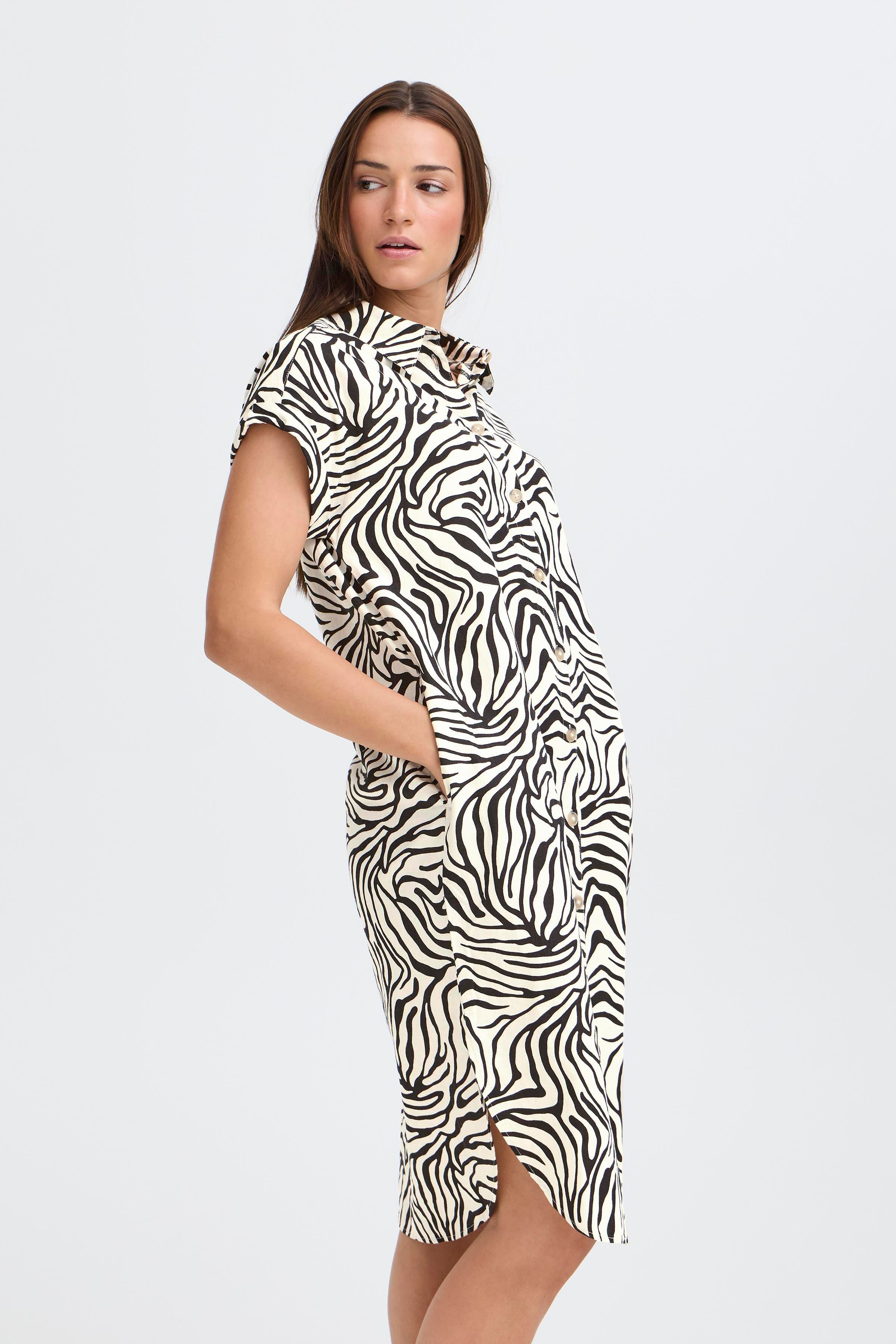 Falakka Meteorite Animal Shirt Dress - 20814553
