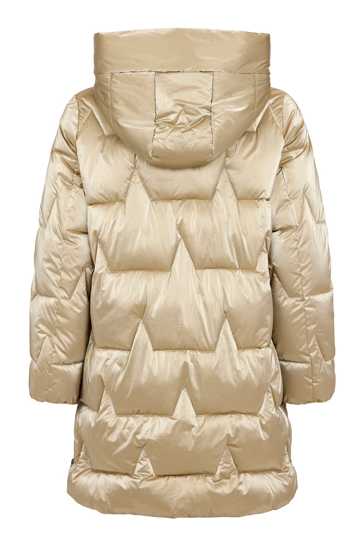 Gold Jacket - 510