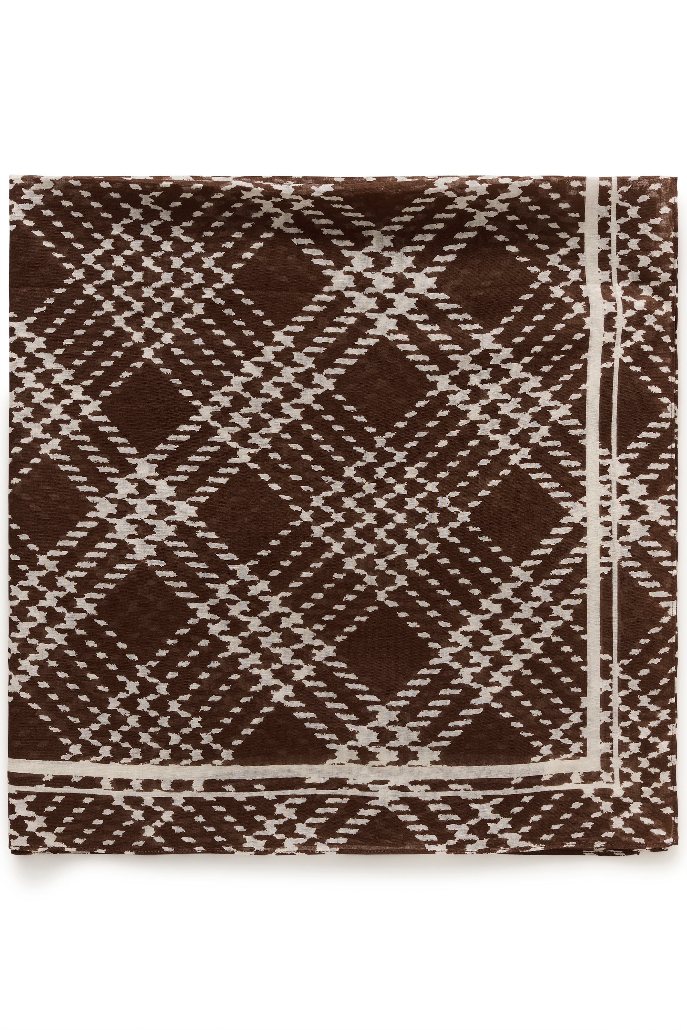 Phil Brown Check Scarf - 30309304