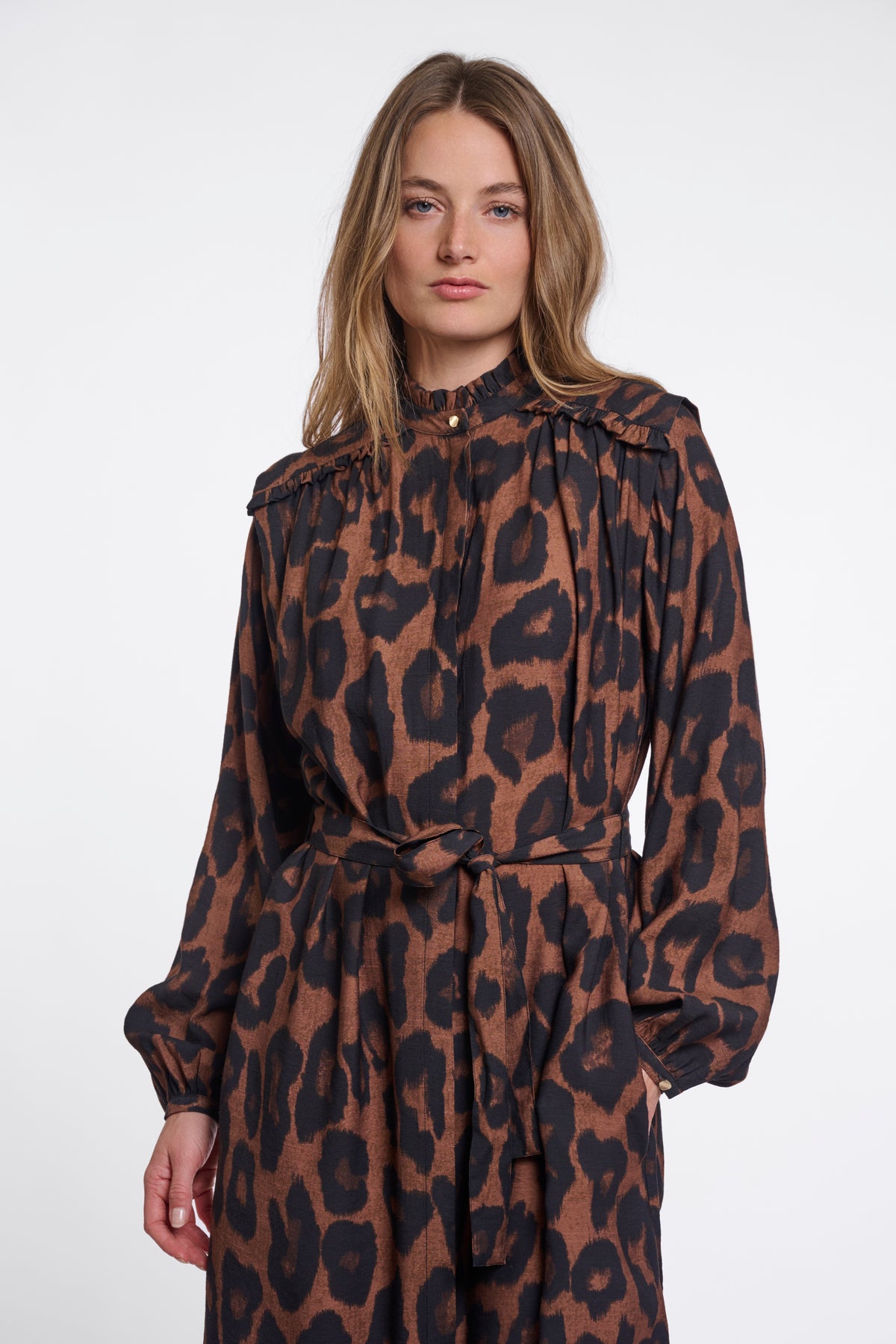 Ilonka Brown Leopard Dress - 7002612