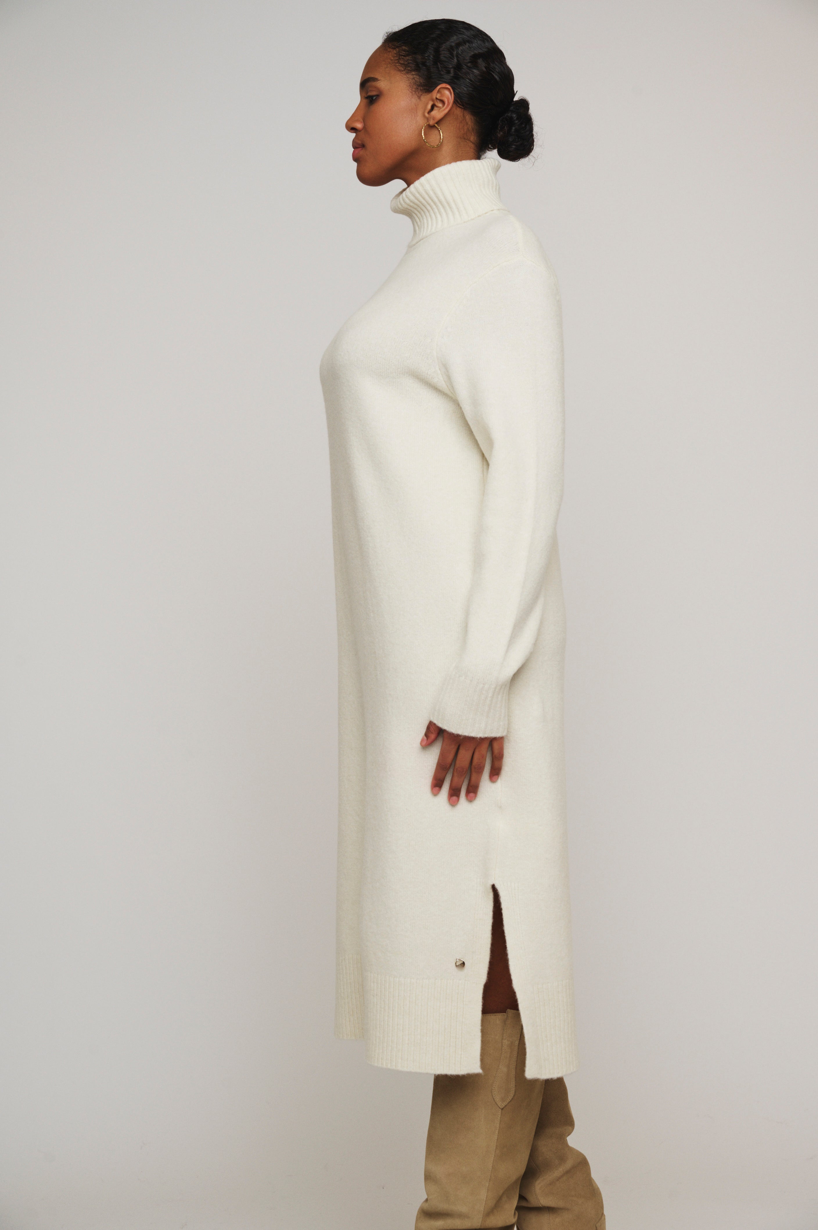 Tenzil Birch Roll Neck Dress